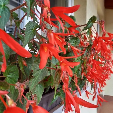Holiday home Dovolenkove Pilarcik *