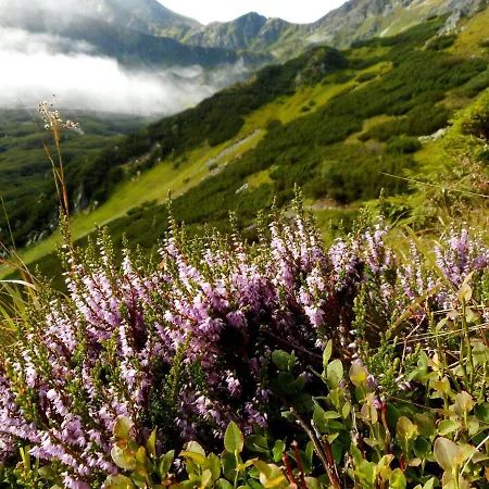 Dovolenkove Pilarcik Зуберец