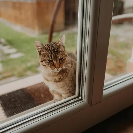 펜션 Dovolenkove Pilarcik *